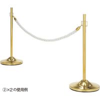 ストア・エキスプレス ロープ式パーティション ゴールド  1台   6269-1161（直送品）