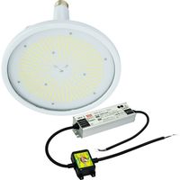 日動工業 LED交換球 L150V2-E39-HW-50K-N（直送品）