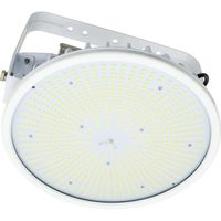 日動工業 施設用LED L300V2-P-HW-50K-N（直送品）