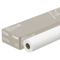 アスクル カラーが映える普通紙A0 100m巻 1箱（2本入） オリジナル（わけあり品）