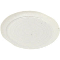 ニシキ 実（21）本体 石焼 2231211030 240枚（10×24）（直送品）