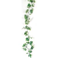 KMA グレープガーランドG 4236107