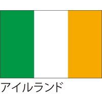 【世界の国旗】服部 応援・装飾用旗 アイルランド 105×70cm ポンジ 1枚（直送品）