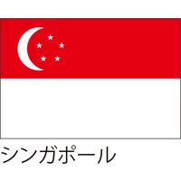 【世界の国旗】服部 応援・装飾用旗 135×90cm ポンジ