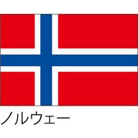 【世界の国旗】服部 応援・装飾用旗 ノルウェー 105×70cm ポンジ 1枚（直送品）