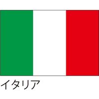 【世界の国旗】服部 応援・装飾用旗 イタリア 135×90cm ポンジ 1枚（直送品）