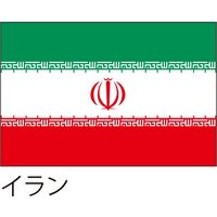 【世界の国旗】服部 応援・装飾用旗 イラン 105×70cm ポンジ 1枚（直送品）