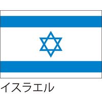 【世界の国旗】服部 応援・装飾用旗 イスラエル 135×90cm ポンジ 1枚（直送品）