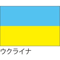 【世界の国旗】服部 応援・装飾用旗 ウクライナ 135×90cm ポンジ 1枚（直送品）