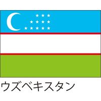 【世界の国旗】服部 応援・装飾用旗 ウズベキスタン 135×90cm ポンジ 1枚（直送品）