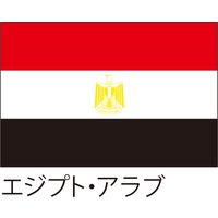 【世界の国旗】服部 応援・装飾用旗 エジプト・アラブ 135×90cm ポンジ 1枚（直送品）
