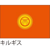 【世界の国旗】服部 応援・装飾用旗 キルギス 135×90cm ポンジ 1枚（直送品）