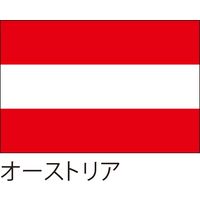 【世界の国旗】服部 応援・装飾用旗 オーストリア 135×90cm ポンジ 1枚（直送品）