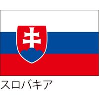 【世界の国旗】服部 応援・装飾用旗 スロバキア 135×90cm ポンジ 1枚（直送品）