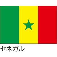 【世界の国旗】服部 応援・装飾用旗 セネガル 135×90cm ポンジ 1枚（直送品）