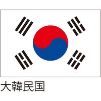服部 応援・装飾用旗　大韓民国　135×90cm　ポンジ　 flag0100 1枚