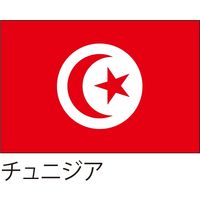 【世界の国旗】服部 応援・装飾用旗 チュニジア 105×70cm ポンジ 1枚（直送品）