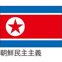 【世界の国旗】服部 応援・装飾用旗 朝鮮民主主義 135×90cm ポンジ 1枚（直送品）