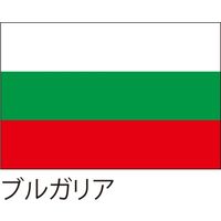 【世界の国旗】服部 応援・装飾用旗 ブルガリア 135×90cm ポンジ 1枚（直送品）