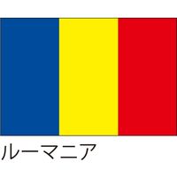 【世界の国旗】服部 応援・装飾用旗 ルーマニア 135×90cm ポンジ 1枚（直送品）