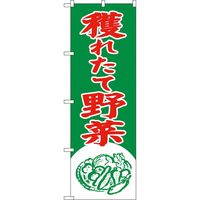 KMA のぼりNO.2247 獲れたて野菜 2枚入 049-4342247-2 1セット(2枚入)（直送品）