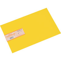 光 ポリスチレン板 黄 200×300×0.5mm PS2035-5 1枚 820-2026（直送品）