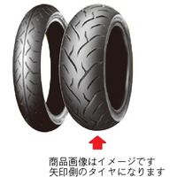 【カー用品・バイク用タイヤ】ダンロップ D221 160/60ZR17 M/C （69W） TL リア用 1個（直送品）