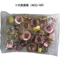 Moveon 均一フランジナット 6mm 4832-6F（直送品）