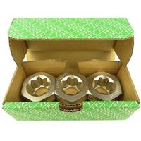 フラッシュツール 増し締めアダプターセット INA-3S（直送品）