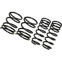 レーシングギア（RACING GEAR） ダウンスプリング 【LOWFORM REVOLUTION】 ブレイド AZE156H ST093A（直送品）