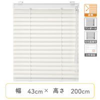 【1cm単位】プロ仕様ブラインド幅43cm×高200cm＜遮熱タイプ＞ ctb835-43x200r88 1セット トーソー（直送品）