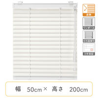 【1cm単位】プロ仕様ブラインド幅50cm×高200cm＜遮熱タイプ＞ ctb835-50x200r88 1セット トーソー（直送品）