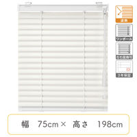 【1cm単位】プロ仕様ブラインド幅75cm×高198cm＜遮熱タイプ＞ ctb835-75x198r68 1セット トーソー（直送品）