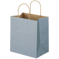 スーパーバッグ 丸紐 ニュアンスカラー手提紙袋 ML（幅260×高さ300×マチ幅180mm） クールグレー  1箱（300枚：50枚入×6袋）