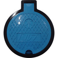 前澤化成工業 前澤 SSV125B バルブボックス SSV-B 2323846（直送品）