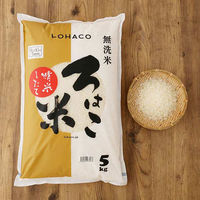 発送日精米【無洗米】精米したて ろはこ米 新潟県産こしいぶき 5kg 令和元年産 米 お米 オリジナル