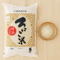 発送日精米【精白米】ろはこ米 新潟県産こしいぶき 5kg 令和元年産 米 お米 オリジナル