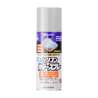 水性シリコンカラースプレー シルバー 420ML #00507655252420 カンペハピオ（直送品）