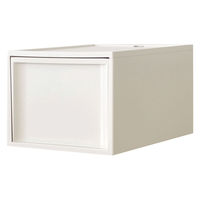 引き出し収納 システムケース Ｌ アイボリー A4対応 リス　GSYB497 １個