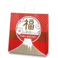 ベルベ 自動紐手提袋 T-6 Mt.福 1604 200枚（50×4）（直送品）