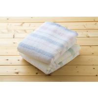 小杉善 泉州産ファンタジーラインバスタオル 2色2枚組 DZ-6401-2（直送品）