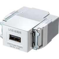 サンワサプライ 埋込USB給電用コンセント 5V 2.4A (1ポート用) ホワイト TAP-KJUSB1W 1個