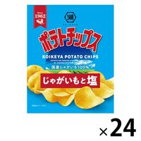 小袋 ポテトチップス じゃがいもと塩 24袋 湖池屋 スナック菓子 おつまみ