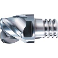 OSG PHOENIX ヘッド交換式エンドミル PXM コーナラジアスタイプ 7830369 PXDR100C10-03R015-N 1個（直送品）