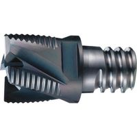 OSG PHOENIX ヘッド交換式エンドミル PXM ラフィングタイプ 7830400 PXNL100C10-04C005 1個（直送品）