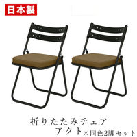 SANKEI GARDE STUDIO 折りたたみイス アクト 座厚張りクッション付 ブラウン NT-FC-22065 1セット(2脚入)（直送品）