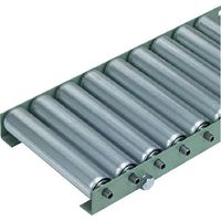 タイヨー TRーN4214L型 ローラー幅400W×P150×機長2000L(Lフレーム) N4214L-400-150-2000 1台（直送品）