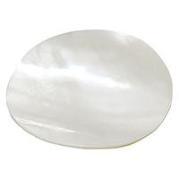 用美 珍味 シェル丸皿　パール [6個入] yub-21599（直送品）