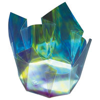 用美 珍味入 両面OP珍味入　オーロラ　大 (100枚入) [1個入] yub-66404（直送品）