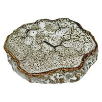 用美 珍味 陶器・岩石プレート　ゆず白 [2個入] yub-79396（直送品）